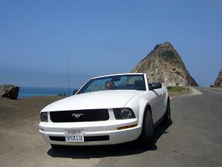 Ford Mustang avo